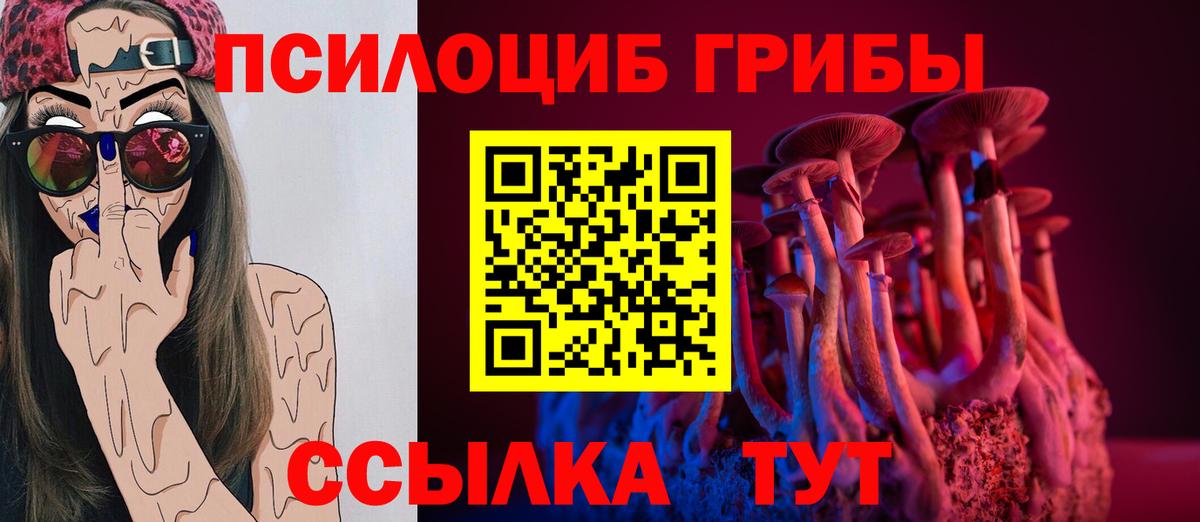 Псилоцибиновые грибы GOLDEN TEACHER Барнаул